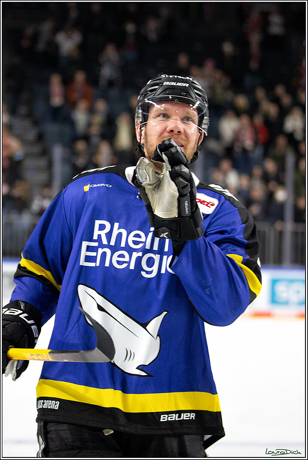 PENNY DEL; Koelner Haie- Fishtown Pinguins Bremerhaven; Koeln, 23.11.2021